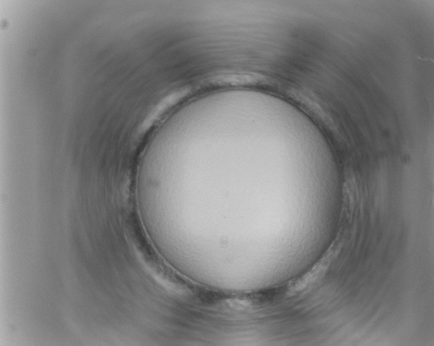 X0000061150159200512092008