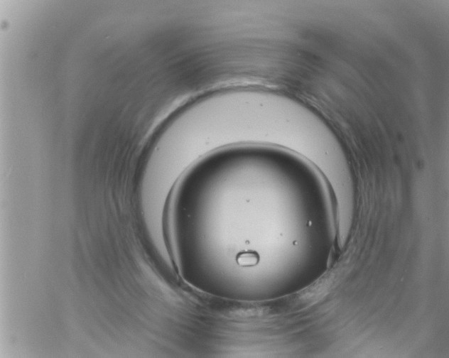 X0000061150160200512092008