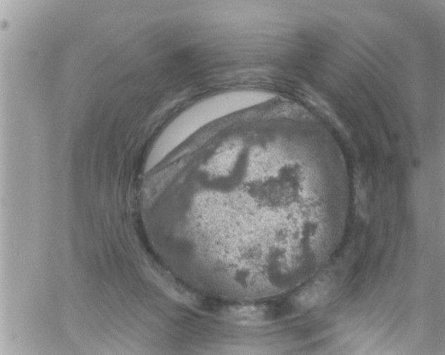 X0000061150161200512092008