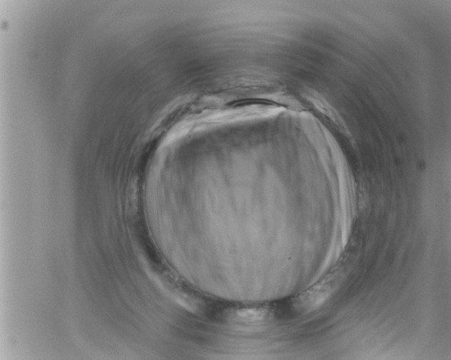 X0000061150163200512092008