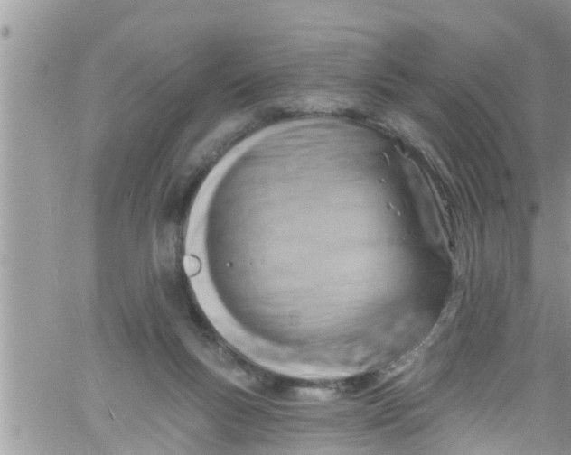 X0000061150167200512092008