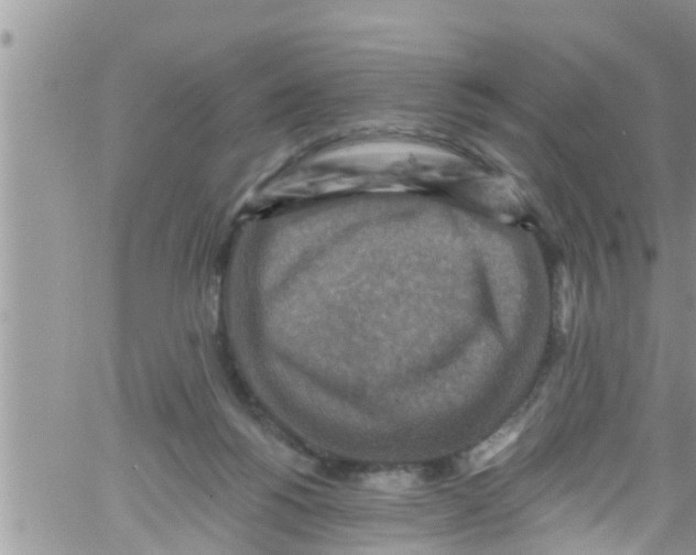 X0000061150168200512092008