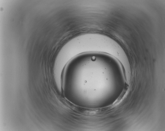 X0000061150170200512092008