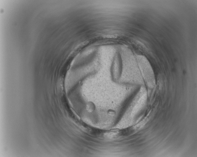 X0000061150172200512092008