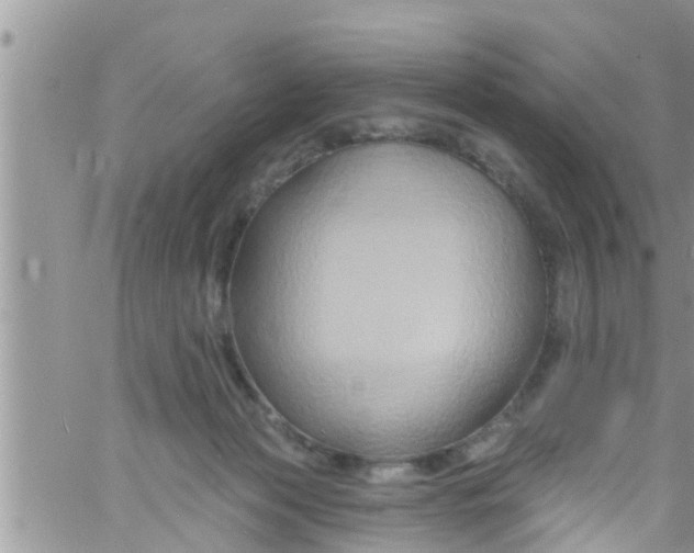 X0000061150173200512092008