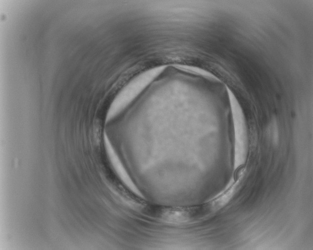 X0000061150174200512092008