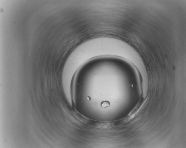 X0000061150175200512092008