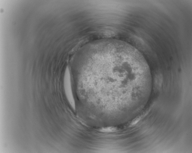 X0000061150177200512092008