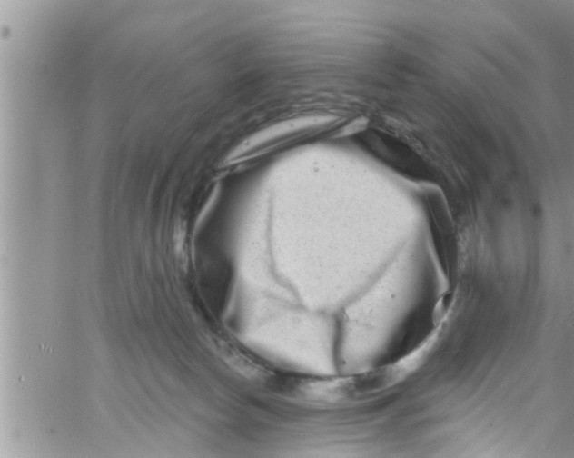 X0000061150178200512092008