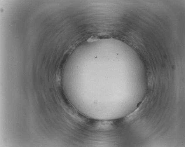 X0000061150179200512092008