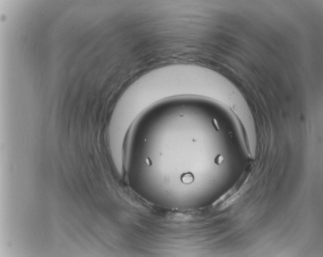 X0000061150180200512092008