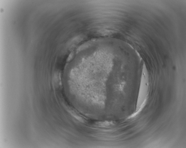 X0000061150182200512092009