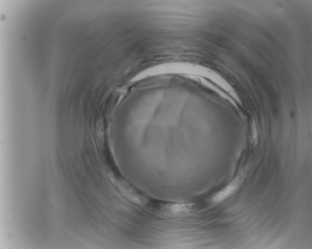 X0000061150184200512092009