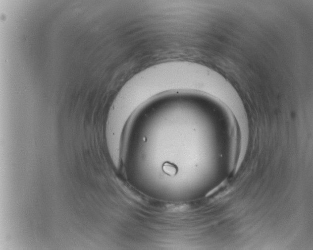 X0000061150185200512092009