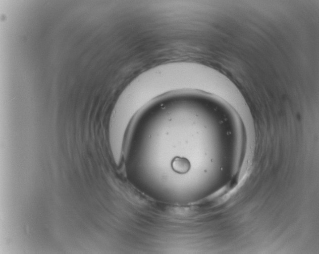 X0000061150187200512092009