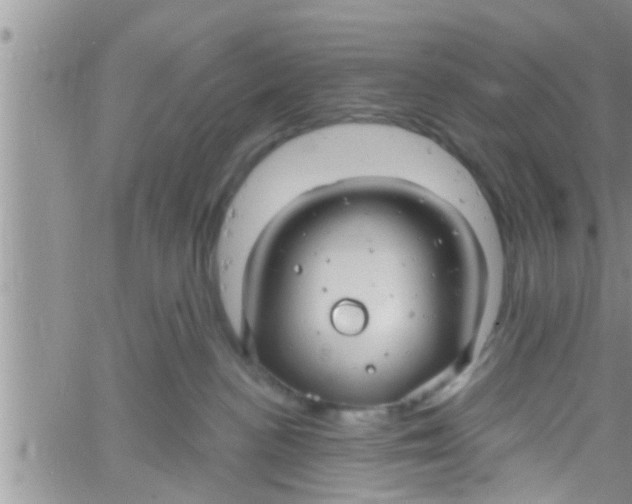 X0000061150188200512092009