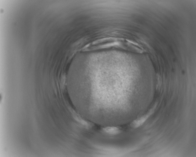 X0000061150189200512092009