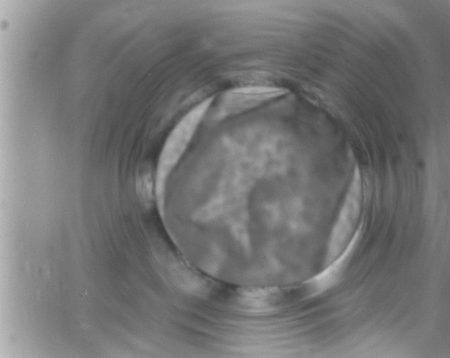 X0000061150190200512092009