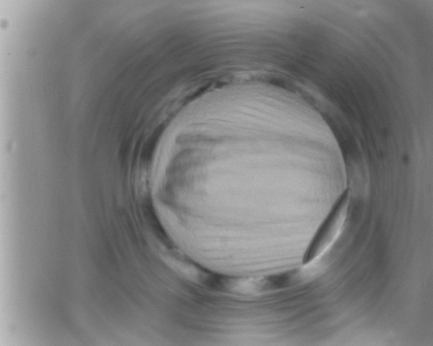 X0000061150191200512092009