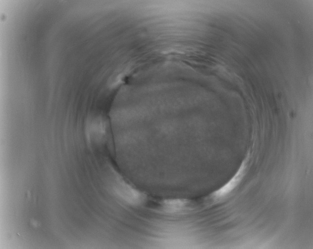 X0000061150192200512092009