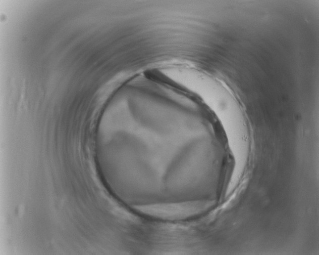 X0000061150193200512092008