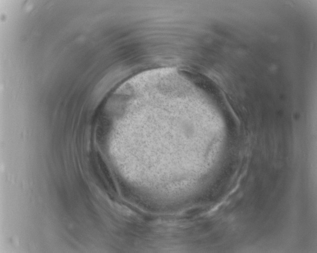 X0000061150194200512092008