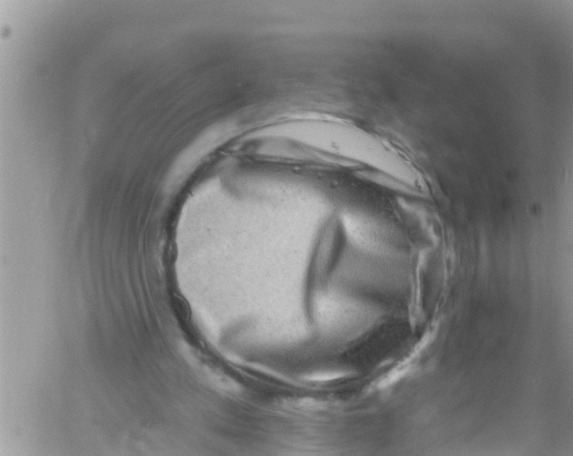 X0000061150197200512092008