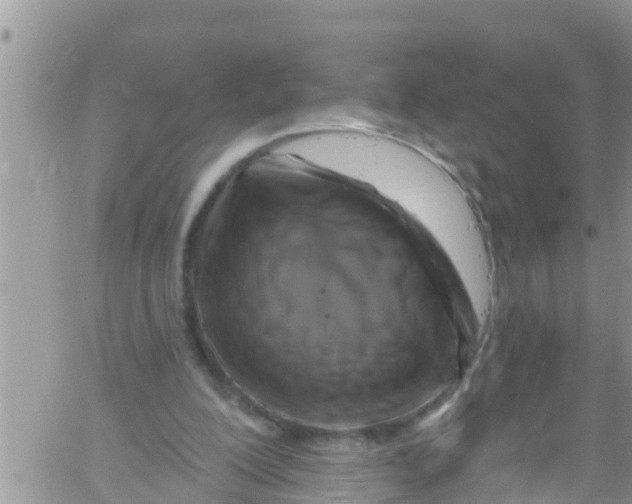 X0000061150200200512092008