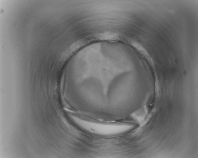 X0000061150201200512092008