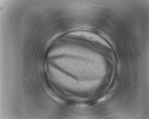 X0000061150203200512092008