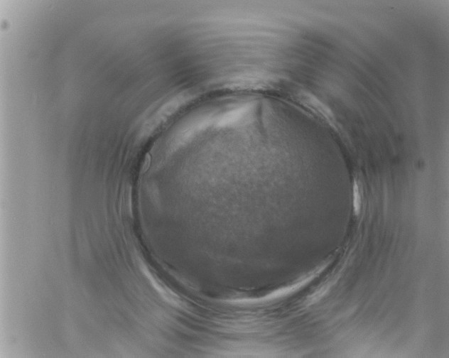 X0000061150205200512092008