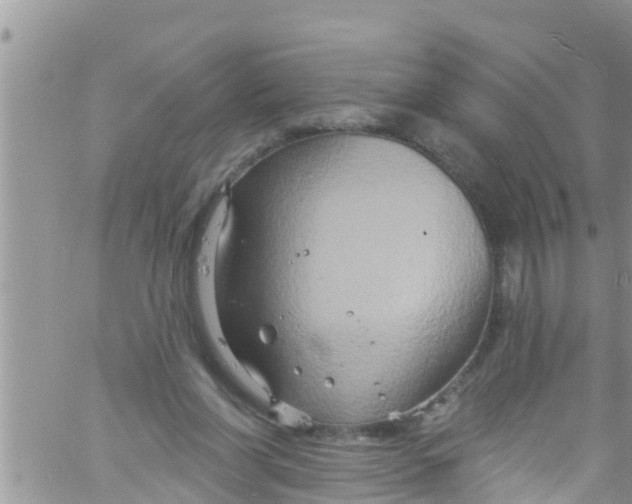 X0000061150206200512092008