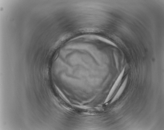 X0000061150207200512092008