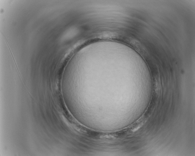 X0000061150208200512092008