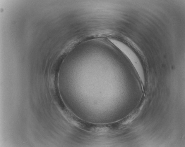 X0000061150209200512092008