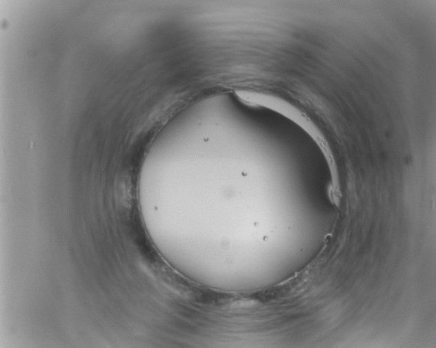 X0000061150210200512092008