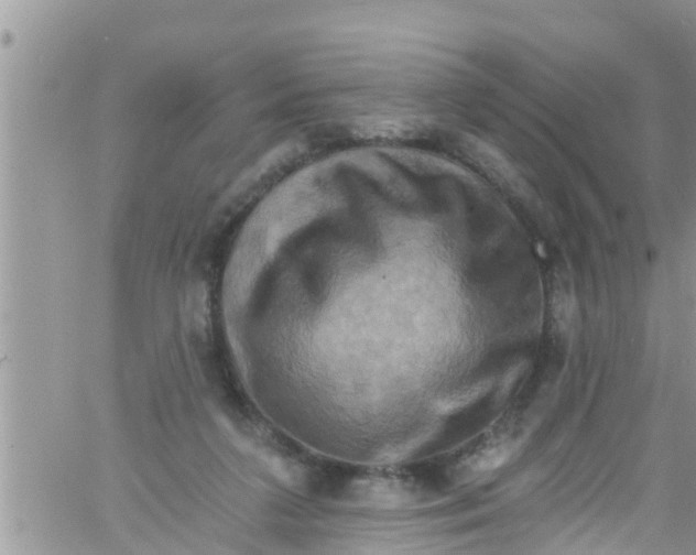 X0000061150211200512092008