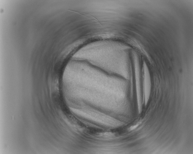 X0000061150212200512092008