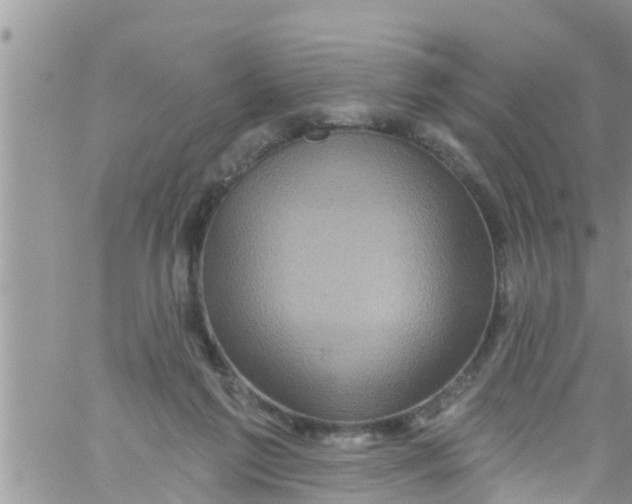 X0000061150213200512092008