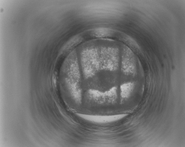 X0000061150214200512092008