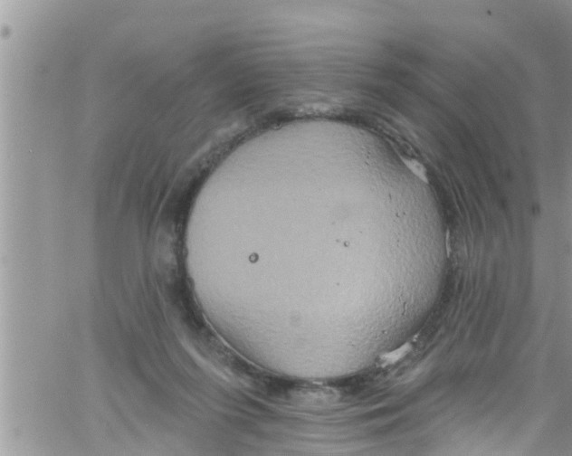 X0000061150215200512092008