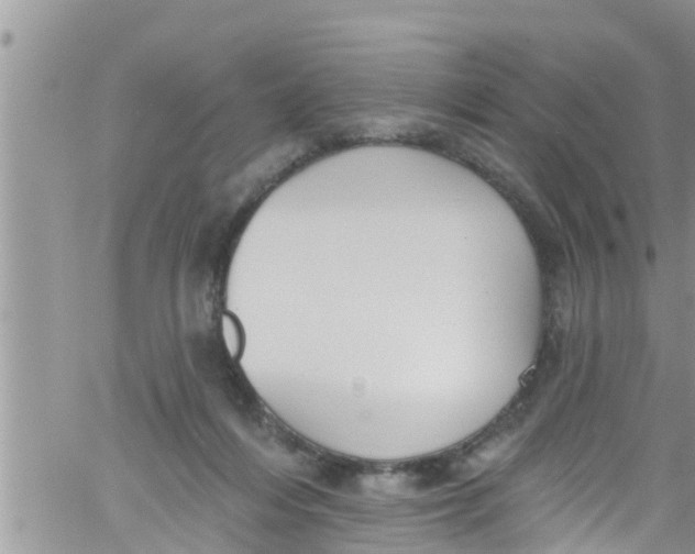 X0000061150216200512092008