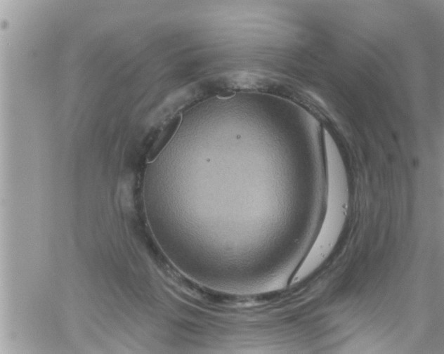 X0000061150217200512092007