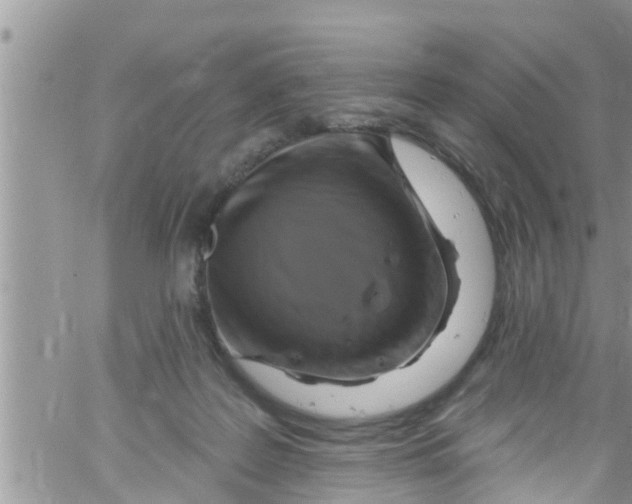 X0000061150219200512092007