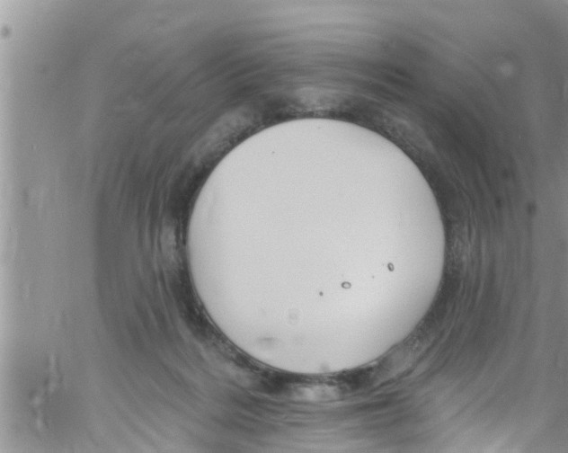 X0000061150220200512092007