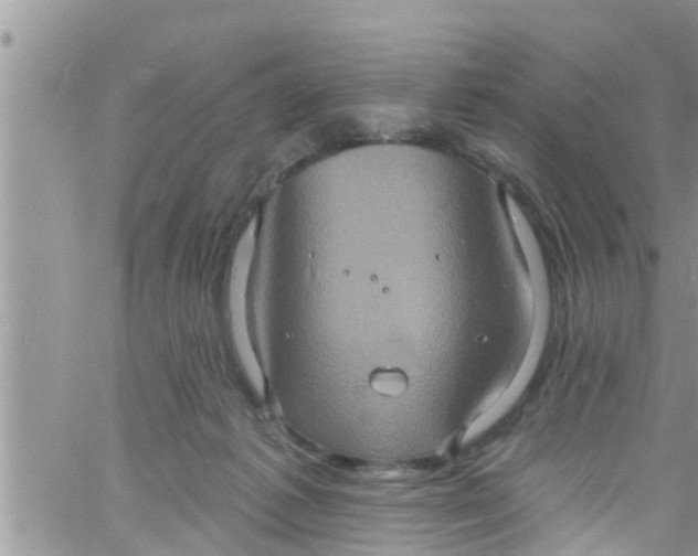 X0000061150221200512092007