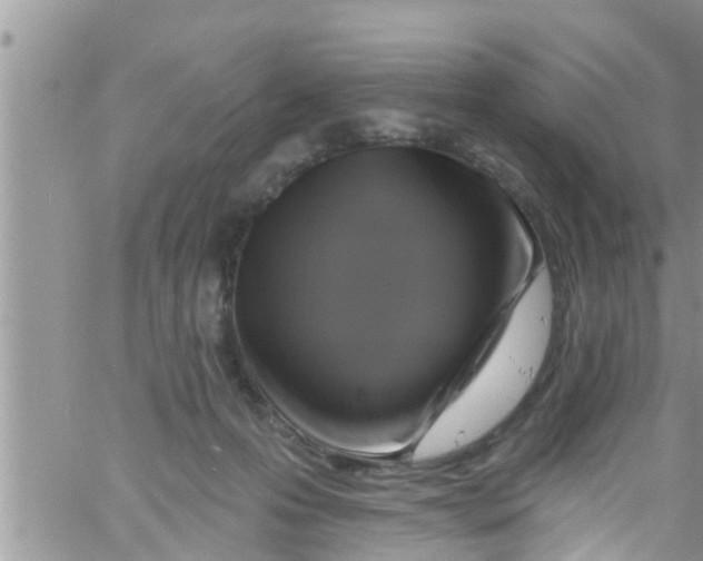 X0000061150223200512092007