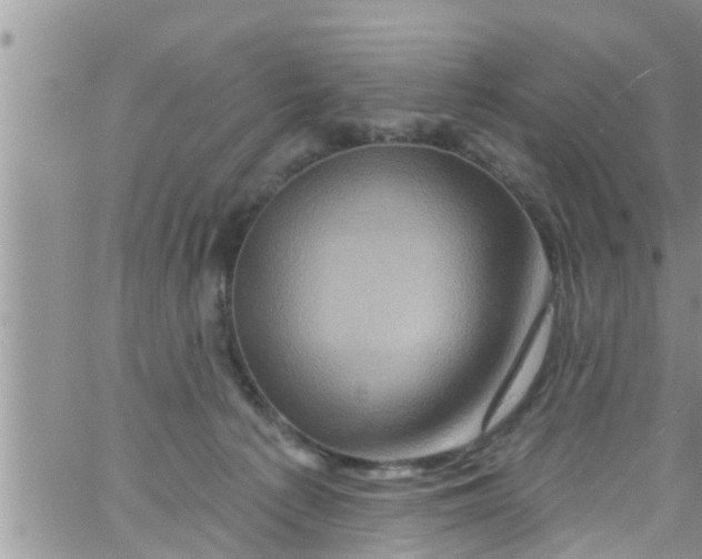 X0000061150225200512092007