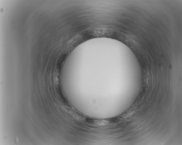 X0000061150226200512092007