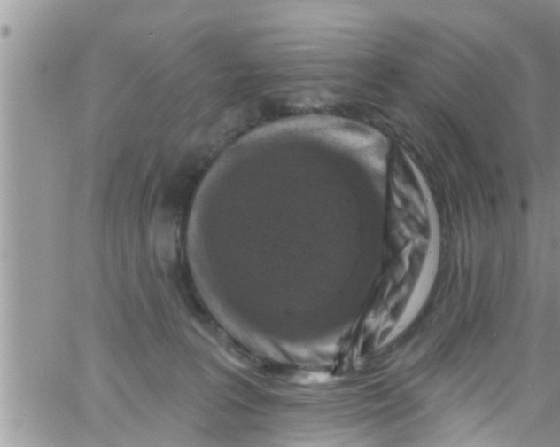 X0000061150227200512092007